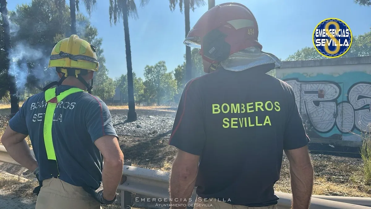 Nuevo incendio en la Isla de la Cartuja: el tercero en una semana alarma a Sevilla
