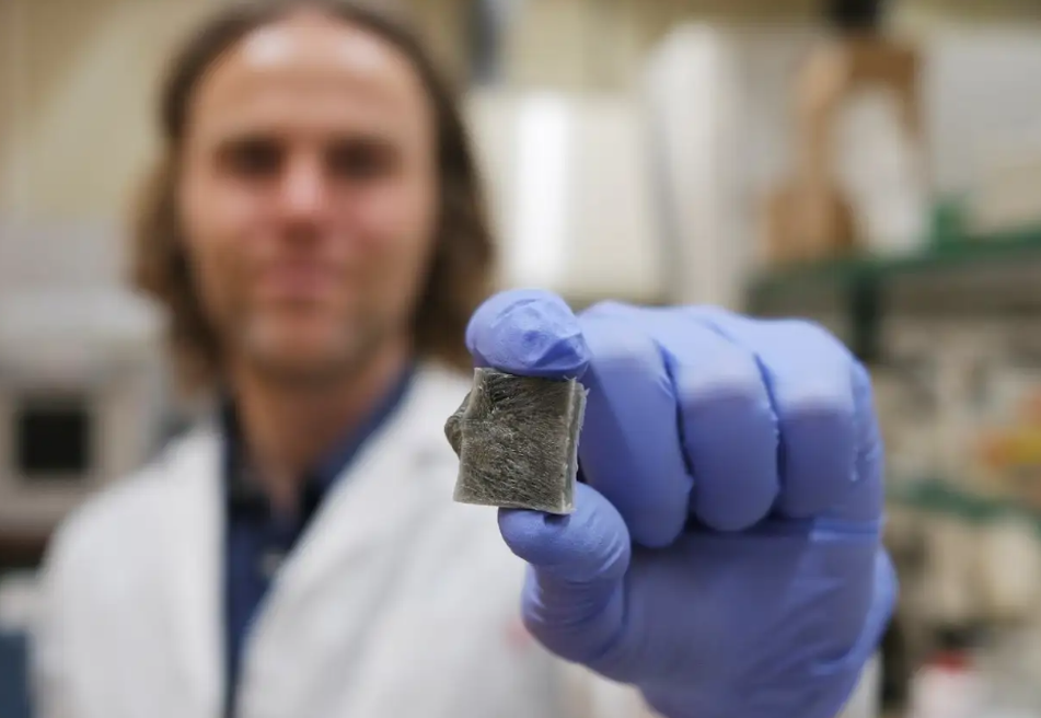 Cómo las algas marinas crean un material capaz de producir energía y prevenir incendios