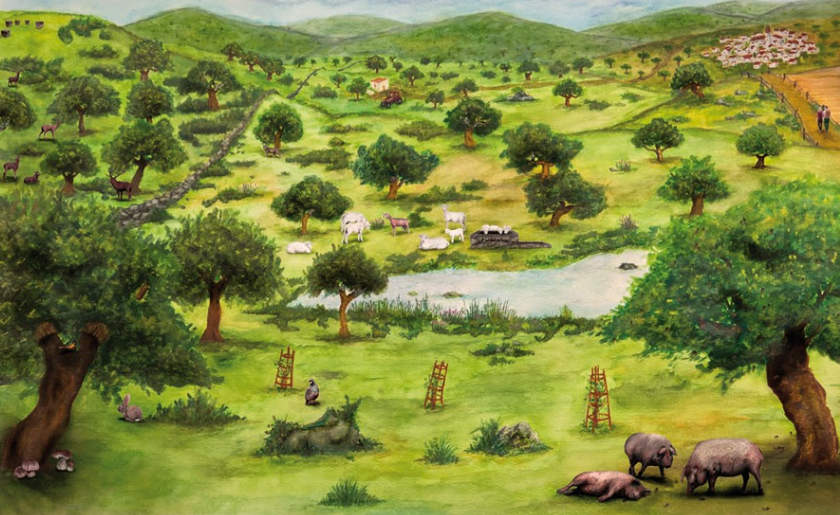 ¿Que se considera una dehesa?