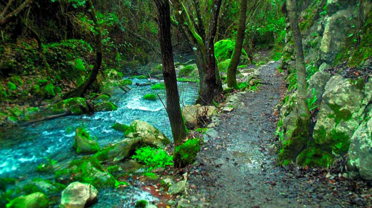 Diez rutas de senderismo fáciles y espectaculares para disfrutar del otoño en Andalucía con familia o amigos