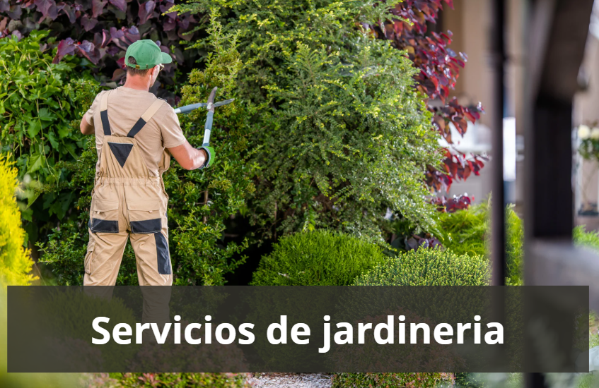 servicios de jardinería