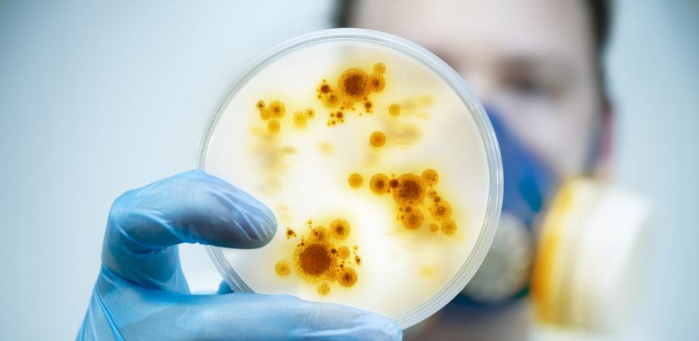 La amenaza silenciosa de las superbacterias: una crisis sanitaria que no podemos ignorar. Una mirada profunda a la resistencia antimicrobiana